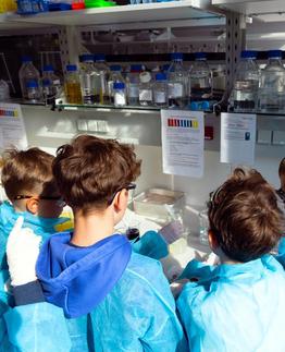 Schüler in Schutzkleidung führen ein Experiment im Chemielabor durch.