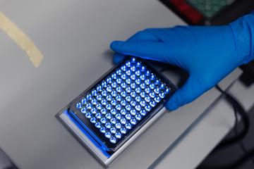 Light-controlled receptors
