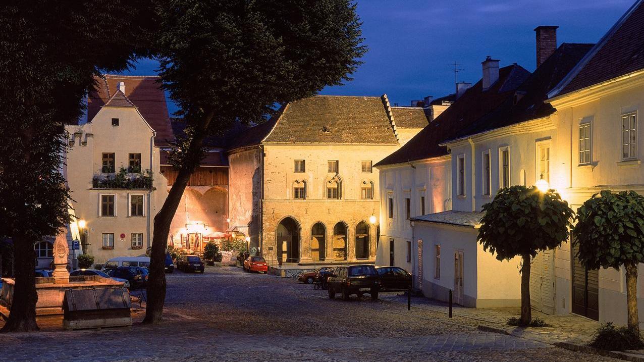 View of the Hoher Markt and the IMC Gozzoburg, an IMC building.
