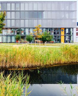 Modernes Bürogebäude mit Glasfassade und Metallverkleidung hinter einem Teich mit Schilf im Vordergrund.