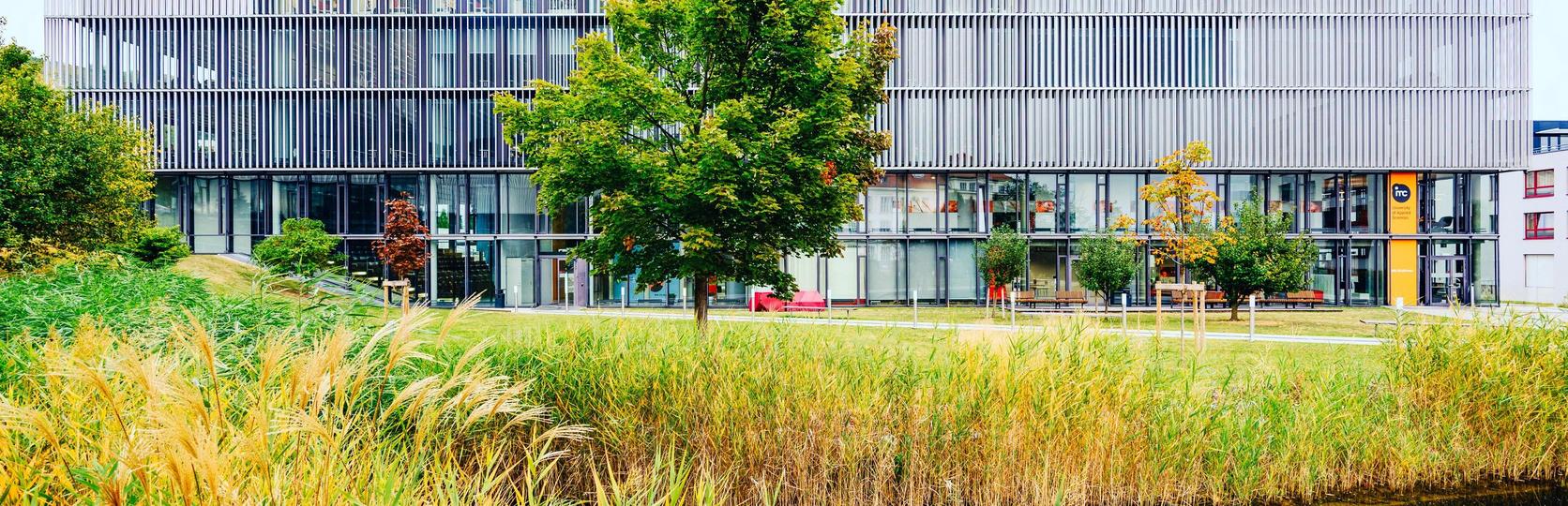 Modernes Bürogebäude mit Glasfassade und Metallverkleidung hinter einem Teich mit Schilf im Vordergrund.
