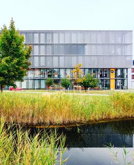 Modern office building with glass facade and metal cladding behind a pond with reeds in the foreground.