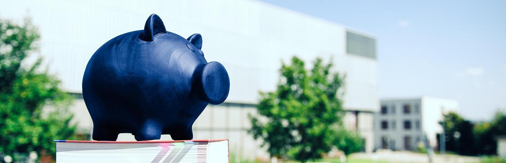 Blaues Sparschwein auf einem Stapel Bücher vor einem unscharfen Gebäudehintergrund.
