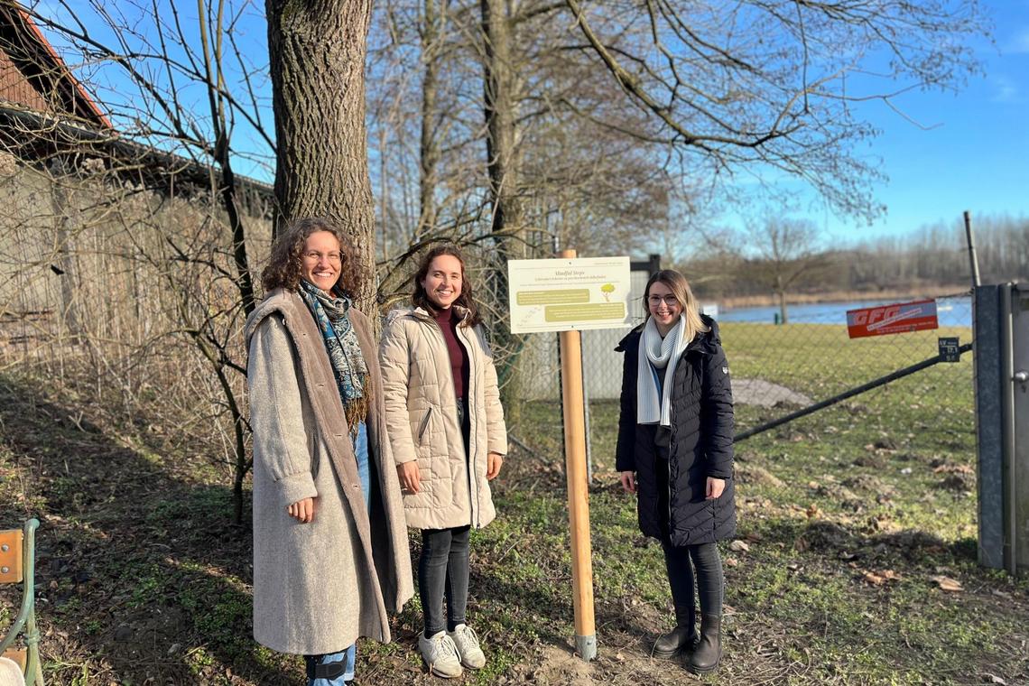 Studierende im Park