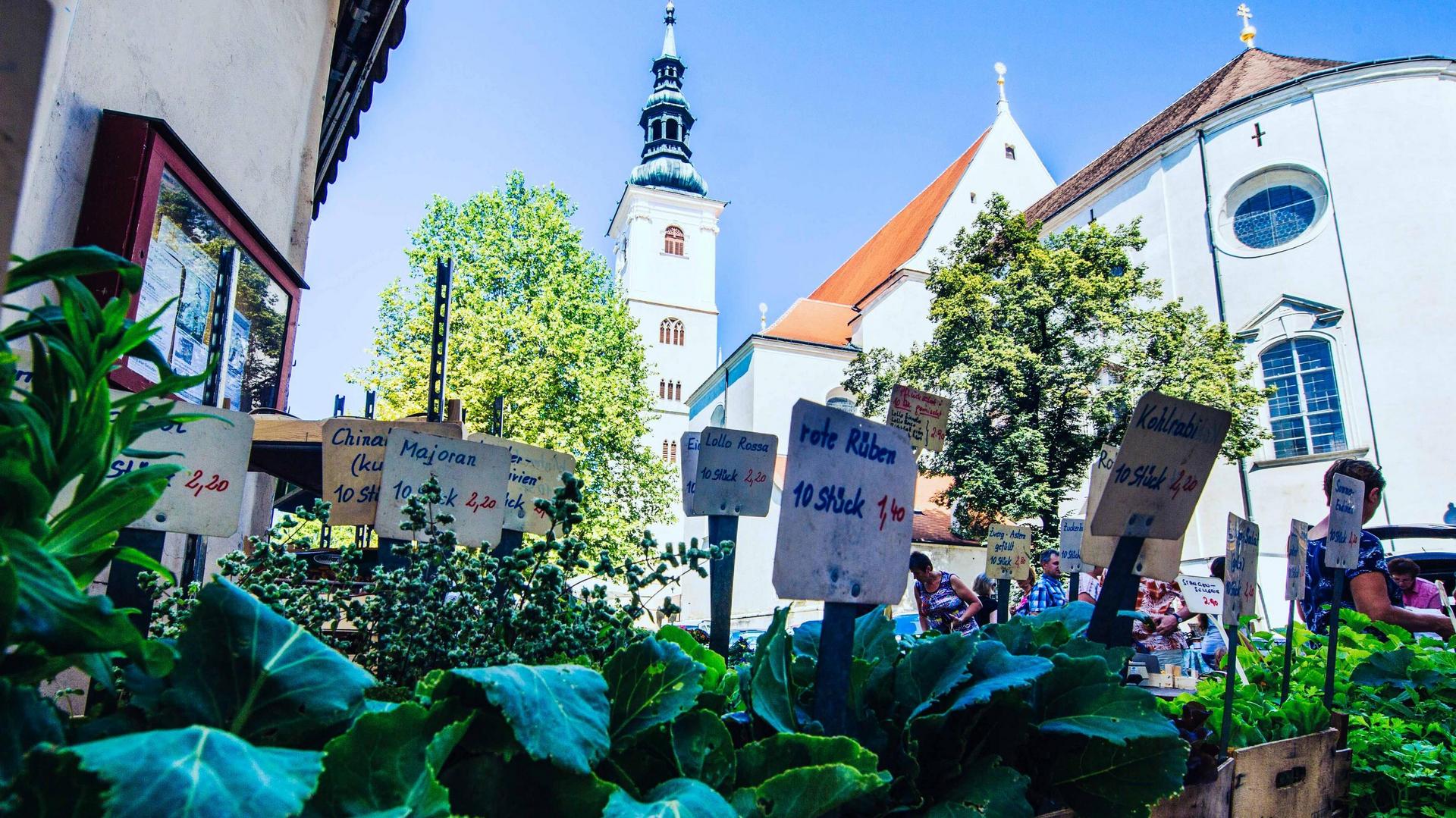 View of Krems parish church, in the foreground vegetables and plants that can be purchased at the weekly market.