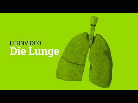 Die Lunge | Lernvideo